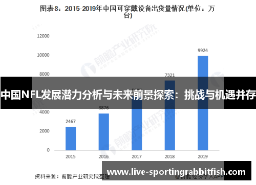 中国NFL发展潜力分析与未来前景探索：挑战与机遇并存